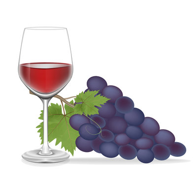 Grape and Glass wine ,Vector illustration