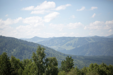 Fototapeta na wymiar Green hills of Altai