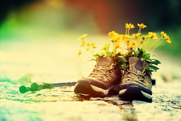 hiking boots and yellow flowers
