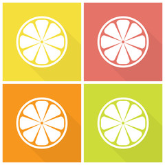 Citrus fruits icons