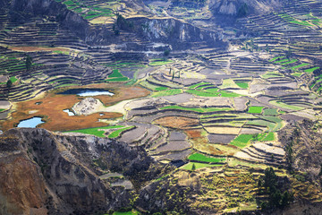 The canyon Colca is the deepest in the world