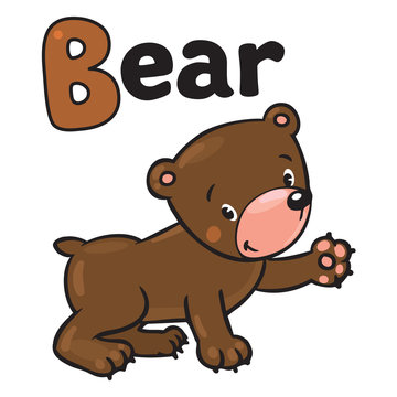 Little funny bear. Alphabet B