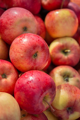 Fototapeta na wymiar bunch of red and green apples closeup as a background