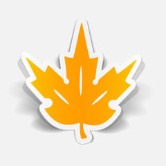 realistic design element: leaf