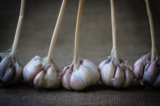garlic