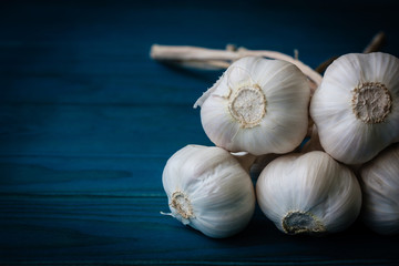 garlic