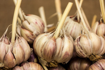 garlic