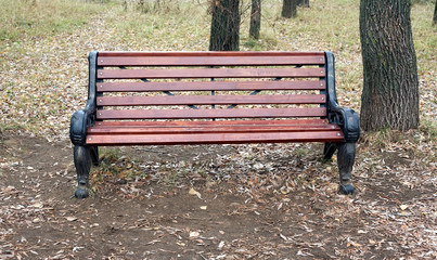 Brown wooden bench in autumn park