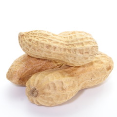 raw dried peanut on a white background
