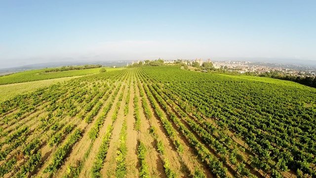 Aerial video of the old town Carcassonne from the vineyard