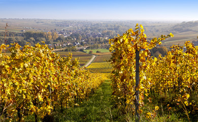 Fototapeta premium Blick in die Rheinebene