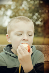 small boy eating apple in the park