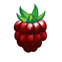 Raspberry isolated