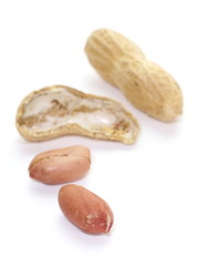 Raw dried peanut on a white background