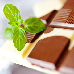 milk chocolate with fresh mint