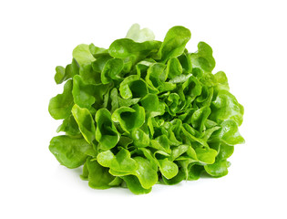 Fresh lettuce isolated on white