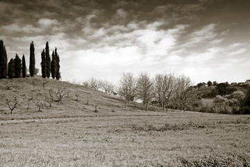Typical Tuscany landscape in sepia toned (Italy)