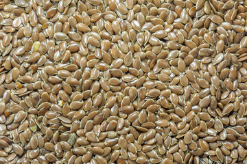 Flax seed