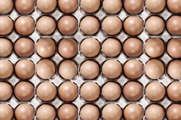 Eggs in a carton closeup view background