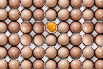 Eggs in a carton closeup view background