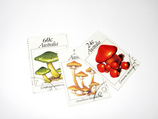 Francobolli funghi