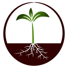 Growing plant - Illustration