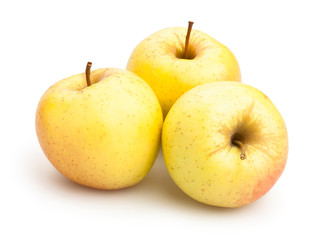 yellow apples