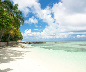 Resort Maldives Summer