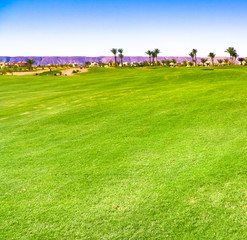 Naklejka premium Golf