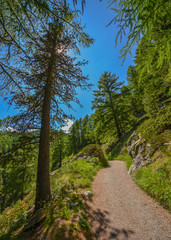 Fototapeta na wymiar Hiking trail to Matterhorn, the top of Swiss Alps