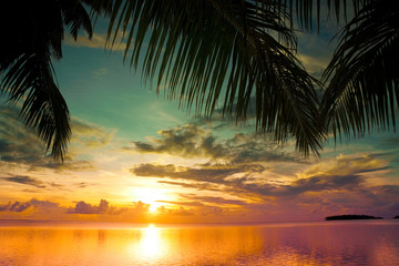 Fototapeta na wymiar Sunset between Palms