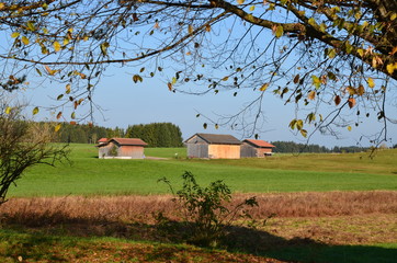 Bergwiesen mit Holzhütten in der Herbstsonne