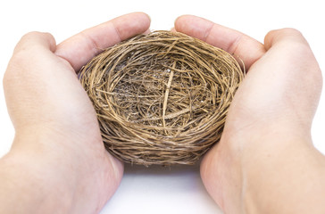 Hands holding a bird's nest
