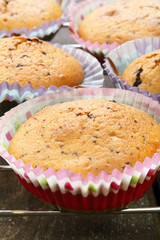 Muffins on a wooden background