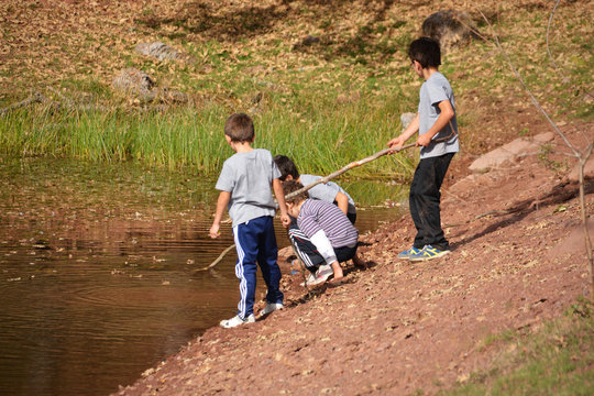 ni&ntilde;os jugando en un estaque