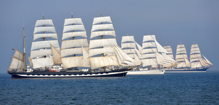Regatta of sailing ships. Collection of yachts and ships