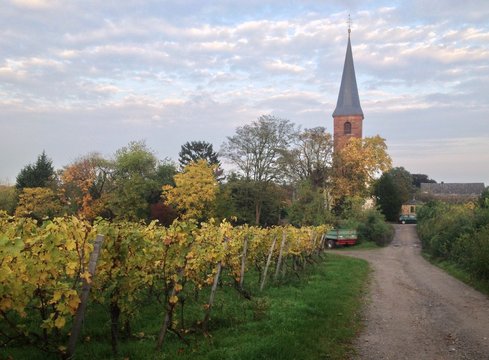 an der Weinstrasse