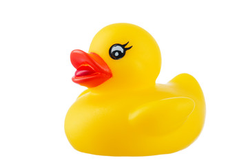 Yellow rubber duck, isolated on white