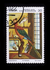 Post stamp. Birds - Ara tricolor