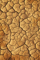 Dry cracked earth