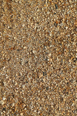 Stony texture background