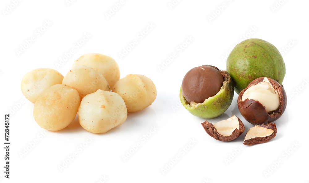 Canvas Prints macadamia nuts on white background