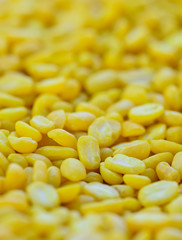 very closeup of split yellow mung beans