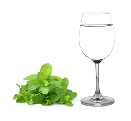 Glass of water and mint isolated on white background