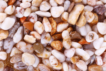 Sea stones as background