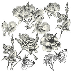 Collection of vector hand drawn flowers for design