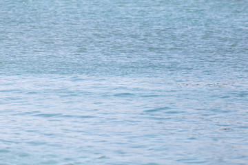 beautiful background of the water surface
