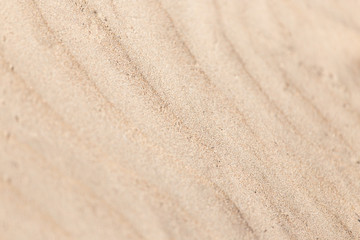 Obraz na płótnie Canvas background of sand