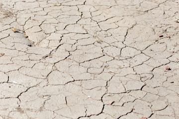 background of dried clay