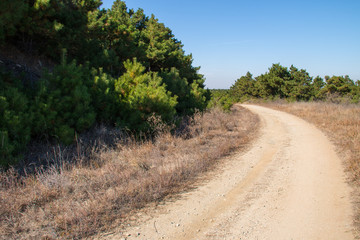 Mountain road